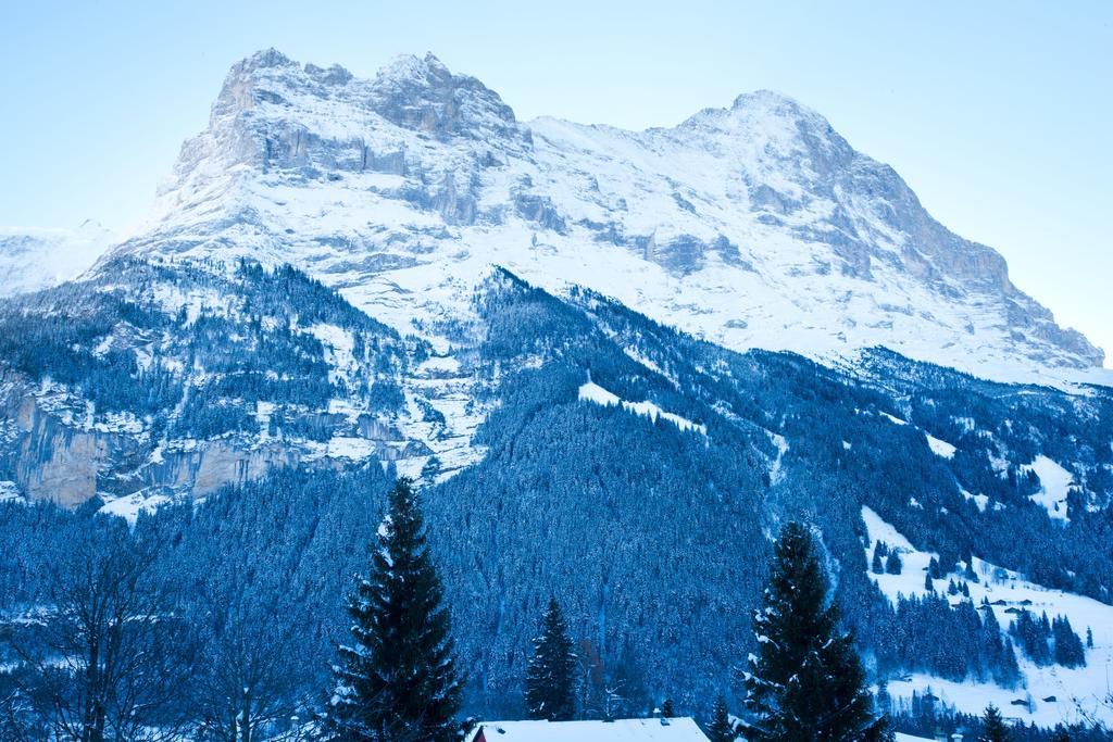Bernerhof Residence Grindelwald Eksteriør bilde